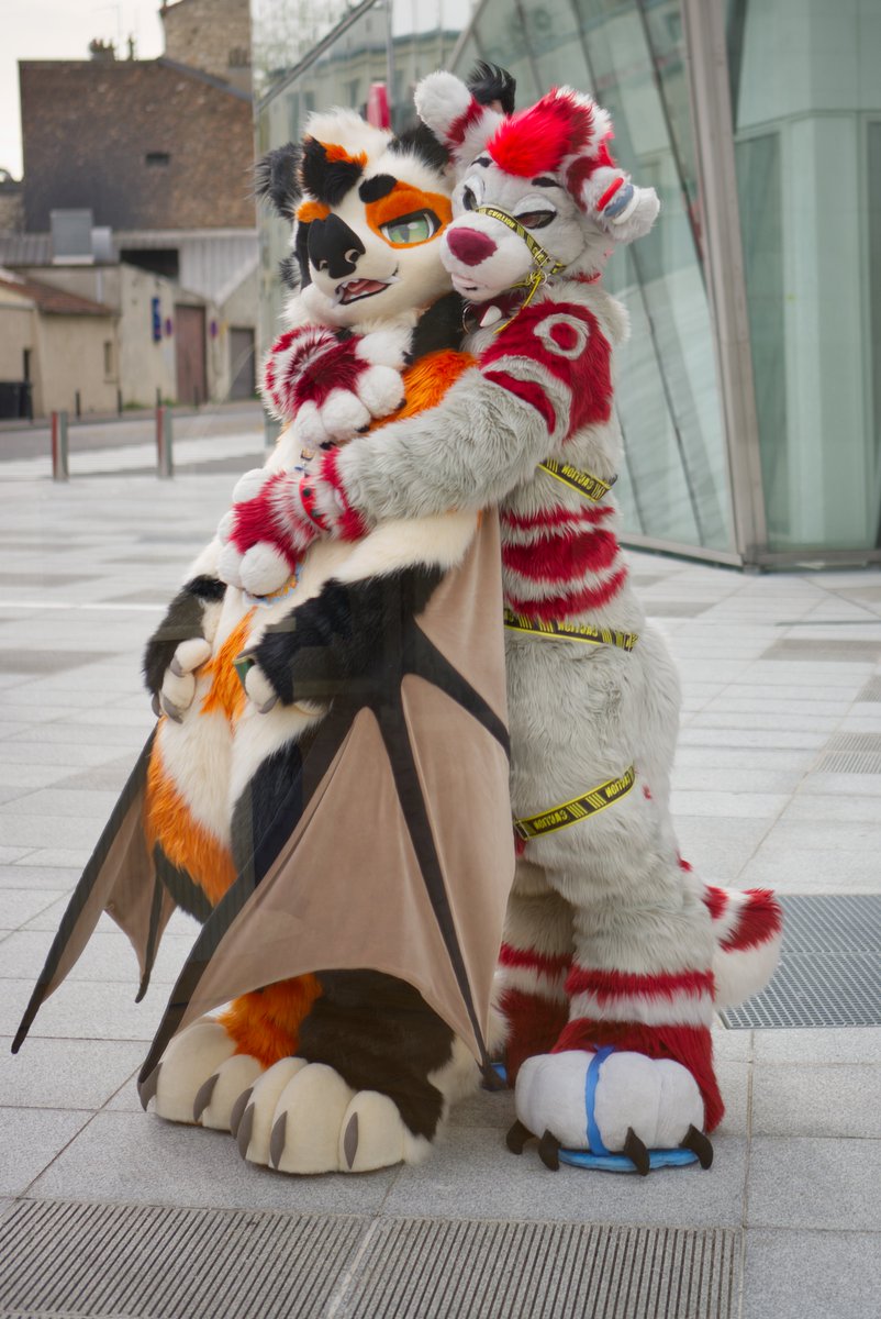 Caught in a chill moment ✨
#FBL13 #FursuitFriday

🐺<a href="/PeppermintWolfy/">Peppermint Spice 🇨🇵 FBL - NFC USA 2026</a>
📸 <a href="/irtimidlougon/">Dimitri Le Lougon</a>