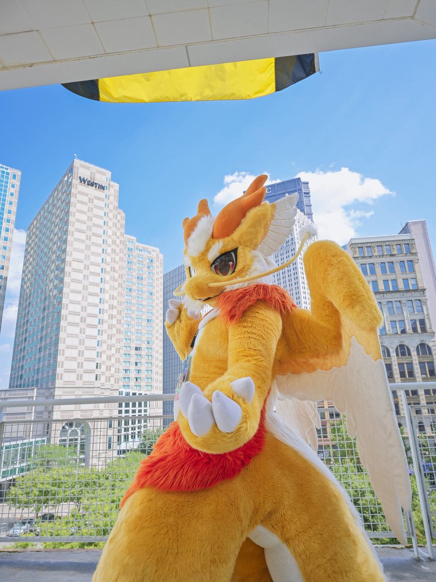 羽落晨曦 tweet media