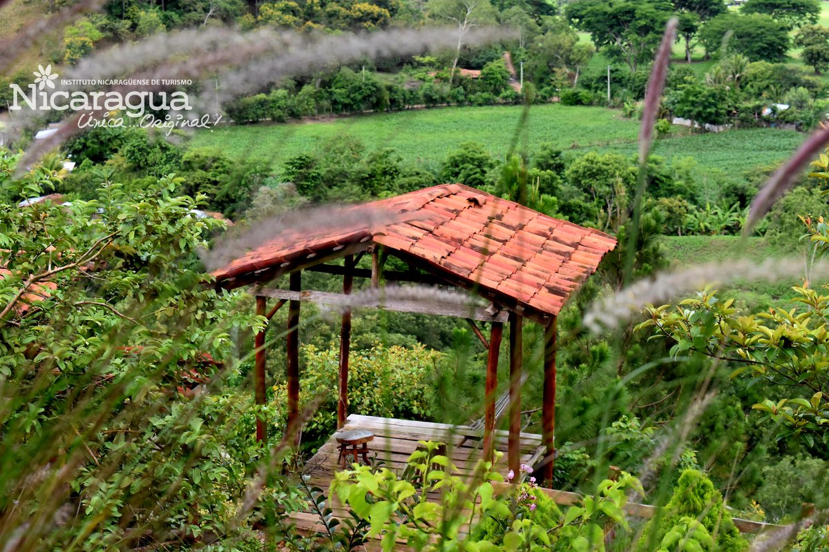 Descubrí el encanto natural de Rancho Vuelo del Águila, un lugar donde la paz se respira. 🌲🦅

📍Ubicado en la comunidad de Intelí, en el municipio de Jalapa, a 1km de la carretera principal.

#NicaraguaÚnicaOriginal 
#NicaraguaFascinanteIrresistible