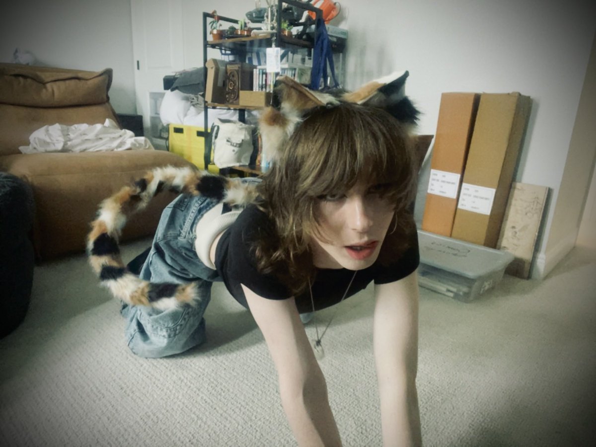 weirdrandomguy5's tweet image. cat time :3 #femboy #crossdresser #catboy #twink