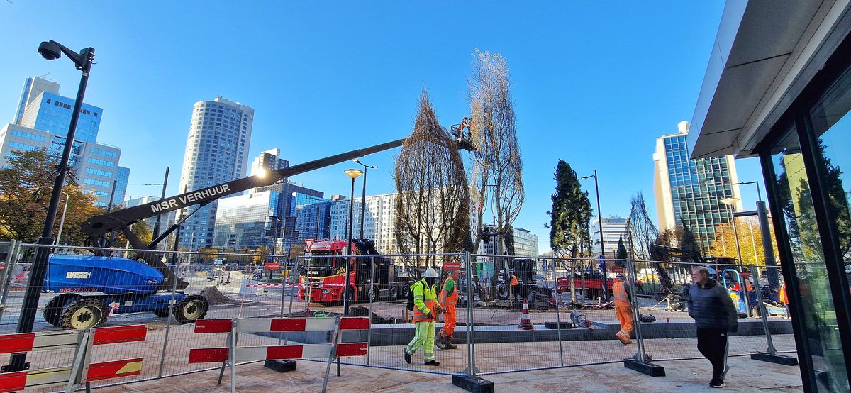 Kijk nou, 't Hofpleinbos! Straks hebben we echt 'n stadsjungle!  😜
#rotterdam #mijnwereldstadje