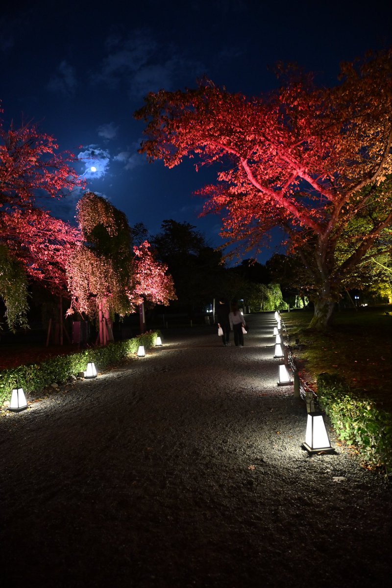 SpringCamellia's tweet image. Nikon ZR
NIKKOR Z 24-120mm f/4 S
CineBias＿RED

二条城

#カメラ好きな人と繋がりたい
#写真好きな人と繋がりたい
#写真初心者
#snapshot
#Nikon