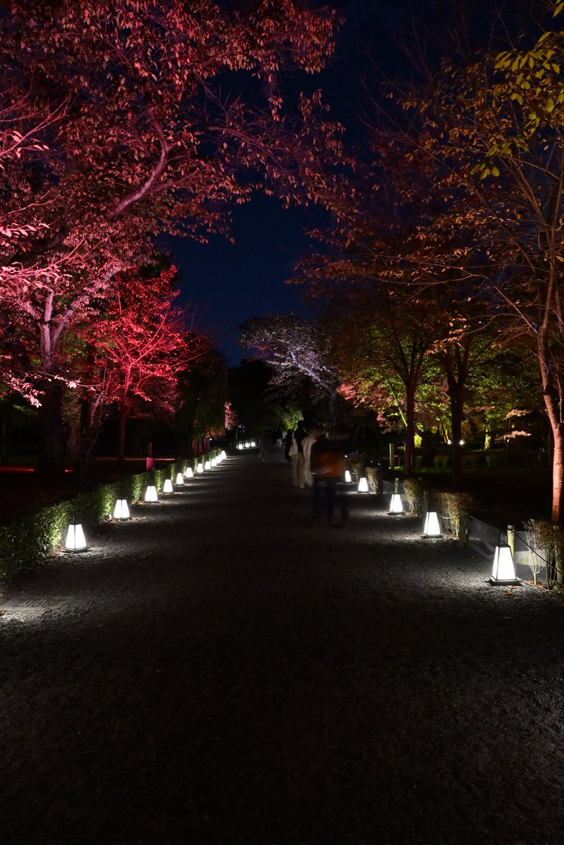 SpringCamellia's tweet image. Nikon ZR
NIKKOR Z 24-120mm f/4 S
CineBias＿RED

二条城

#カメラ好きな人と繋がりたい
#写真好きな人と繋がりたい
#写真初心者
#snapshot
#Nikon