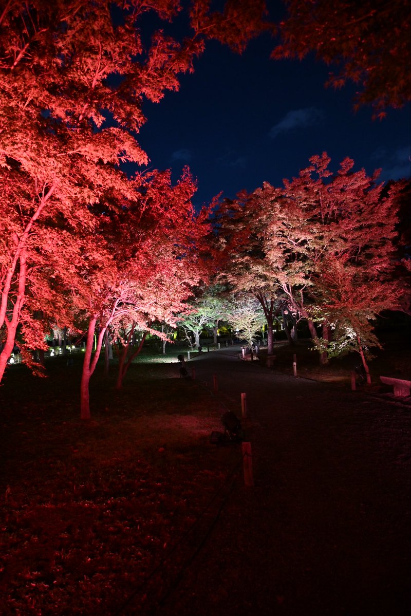 SpringCamellia's tweet image. Nikon ZR
NIKKOR Z 24-120mm f/4 S
CineBias＿RED

二条城

#カメラ好きな人と繋がりたい
#写真好きな人と繋がりたい
#写真初心者
#snapshot
#Nikon
