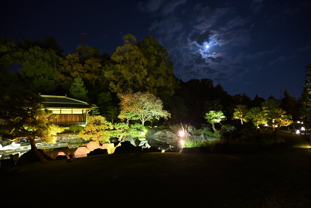 SpringCamellia's tweet image. Nikon ZR
NIKKOR Z 24-120mm f/4 S
CineBias＿RED

二条城

#カメラ好きな人と繋がりたい
#写真好きな人と繋がりたい
#写真初心者
#snapshot
#Nikon