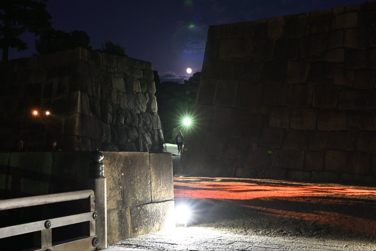SpringCamellia's tweet image. Nikon ZR
NIKKOR Z 24-120mm f/4 S
CineBias＿RED

二条城

#カメラ好きな人と繋がりたい
#写真好きな人と繋がりたい
#写真初心者
#snapshot
#Nikon