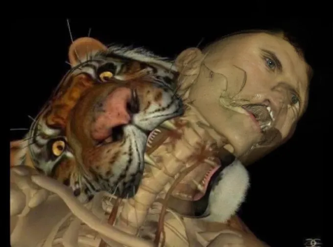 Numa.cos tweet media