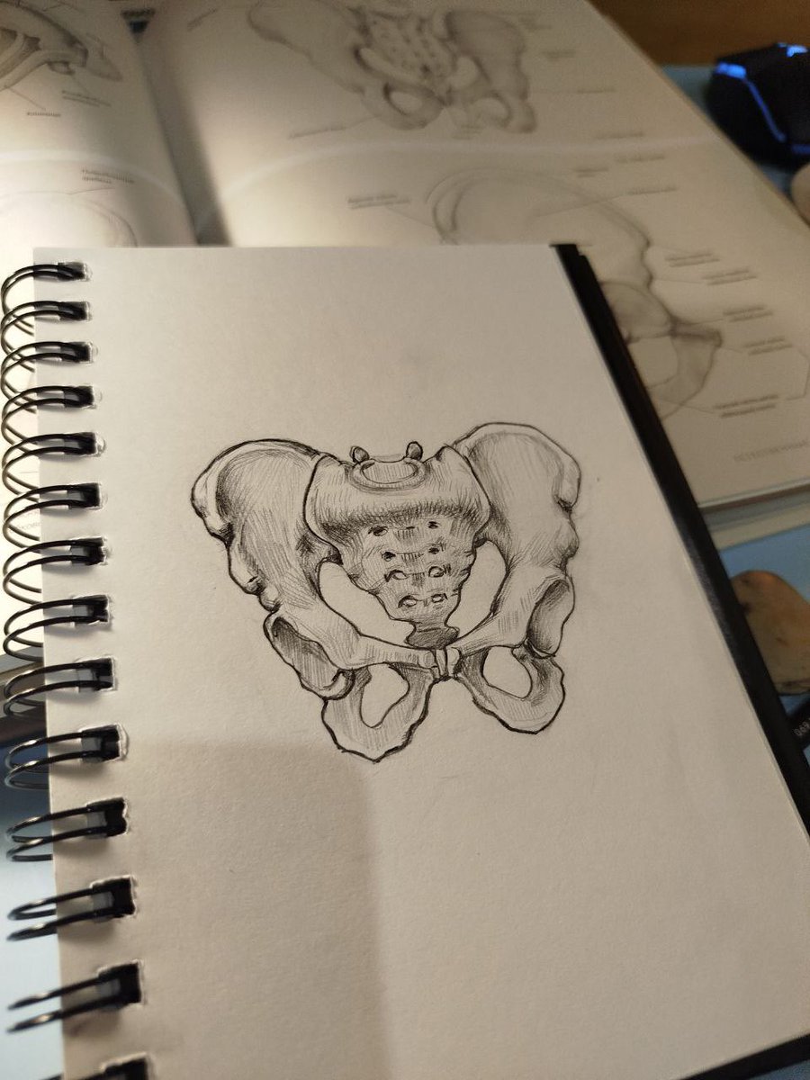 Good evening to all✨

Do what you love no matter what