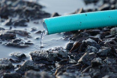 Mitchell Foundation tweet media