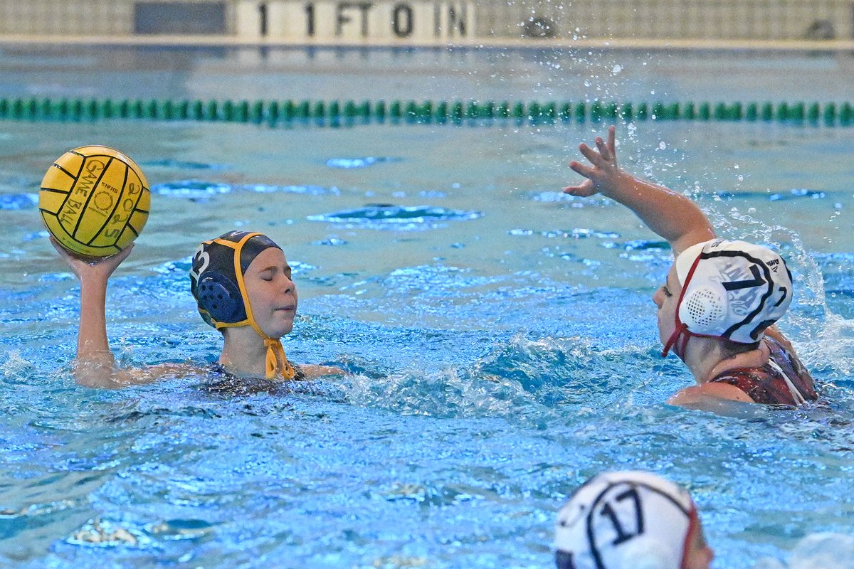 Cypress-Fairbanks ISD tweet media