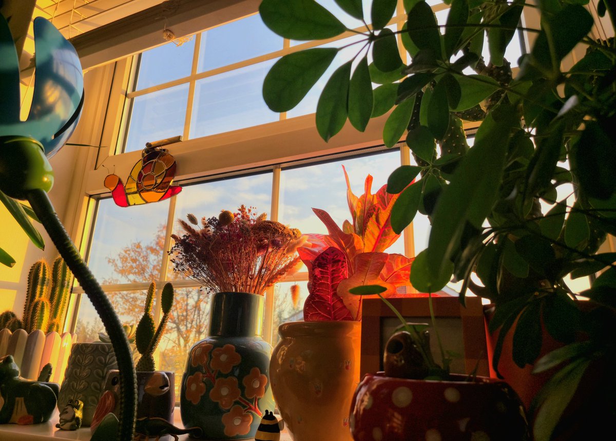 Becky Taylor tweet media