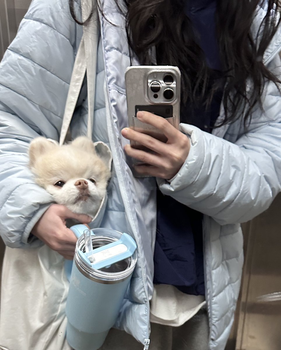 겨울의 블루코어