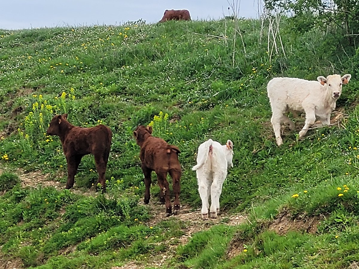 Die <a href="/Tweetenti/">Hannah H.</a> ist ein evangelischer Lautsprecher. 
Ruppig, phrasenverliebt, selbstgerecht und jeden Tag ein bisschen mehr vom eigenen Gutsein begeistert. 
Ihr wollt wissen, warum auch gläubige Christen in Scharen aus den Kirchen austreten? 
Lest ihre Tweets.