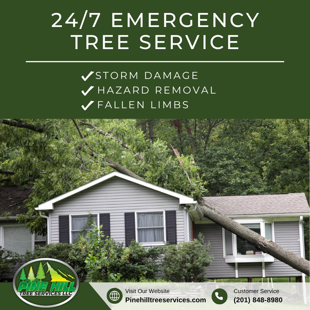 PineHillTS's tweet image. Storm damage? Fallen tree? Don’t wait. 🌳⚠️ 
Pine Hill offers 24/7 emergency tree removal — fast, safe, and reliable.
✅ Storm Damage
✅ Hazard Removal 
✅ Fallen Limbs
#EmergencyTreeService #StormDamage #TreeRemoval #PineHillTreeServices #24HourService #HazardTreeRemoval