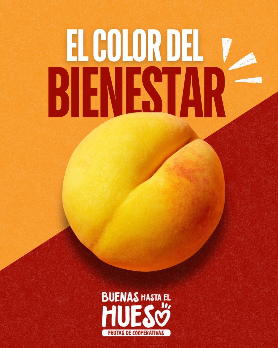 Fruta_de_Hueso's tweet image. 🍑El color del bienestar. 

Porque refleja lo que aporta a tu salud: vitalidad, frescura y equilibrio.

🤗 El melocotón, rico en vitaminas A y C, antioxidantes y fibra, fortalece tu sistema inmunológico, mejora la digestión y cuida tu piel.

#BuenasHastaElHueso