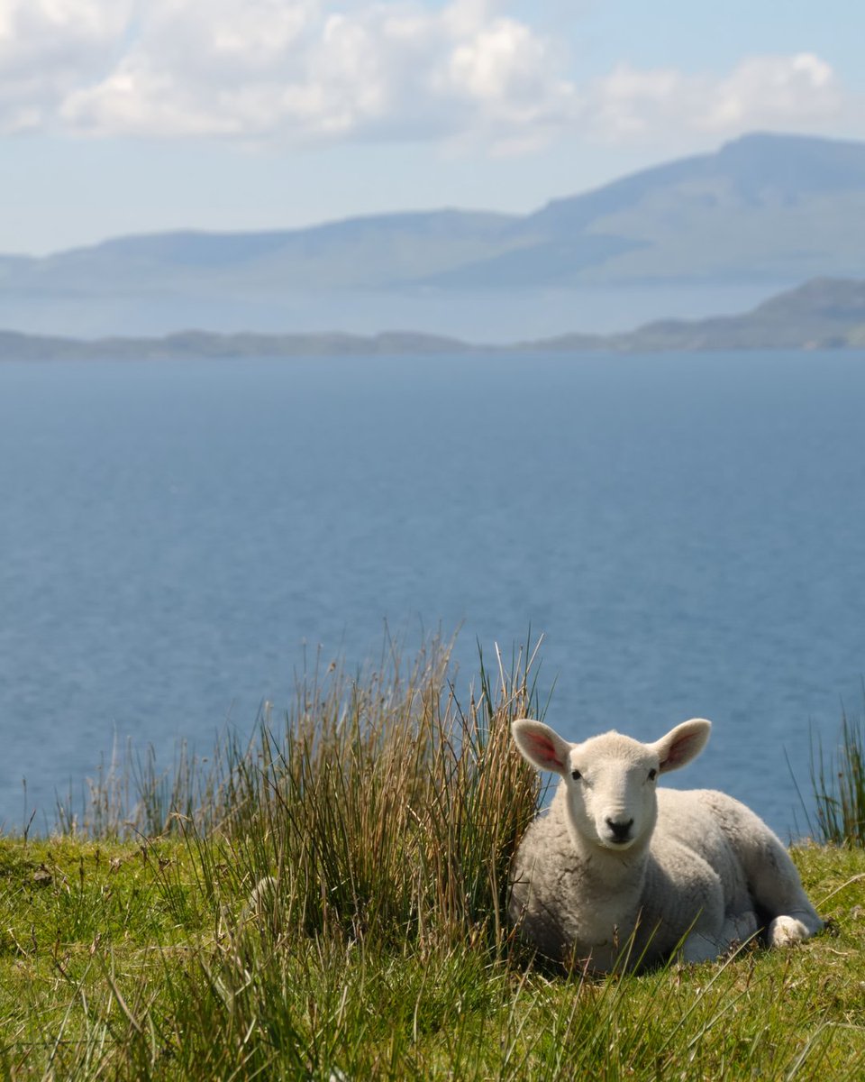 Scottish Government Germany tweet media