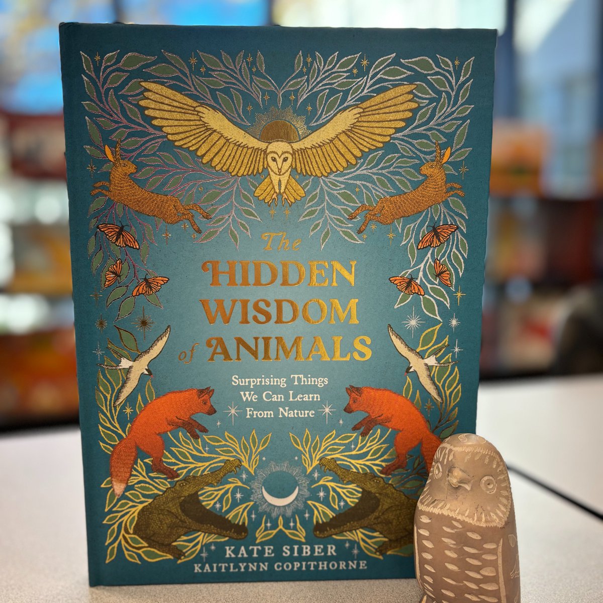 butchilitcen's tweet image. 🦉📚 The Hidden Wisdom of Animals: Surprising Things We Can Learn From Nature by Kate Siber and illustrated by Kaitlynn Copithorne. #dailybutlershelfie #hiddenwisdomofanimals #KateSiber #KaitlynnCopithorne