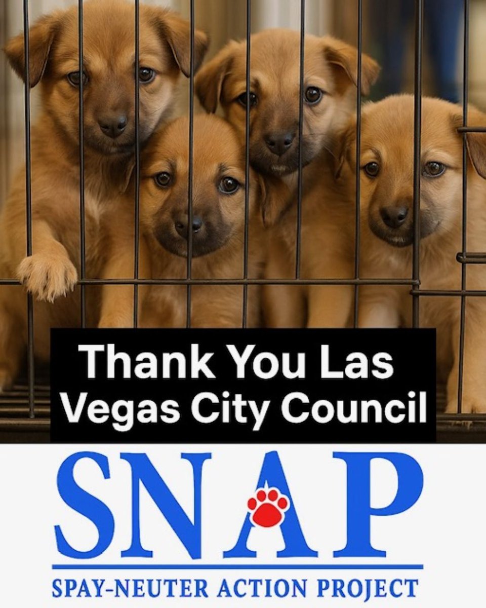 SNAPspayneuter's tweet image. 🐾 Big win for Las Vegas! 🎉
Las Vegas just banned the sale of puppies in pet stores — a huge step toward ending cruel puppy mills and promoting adoption instead. 💪❤️
#AdoptDontShop
#SpayNeuter
#SNAPsandiego
#AnimalWelfare