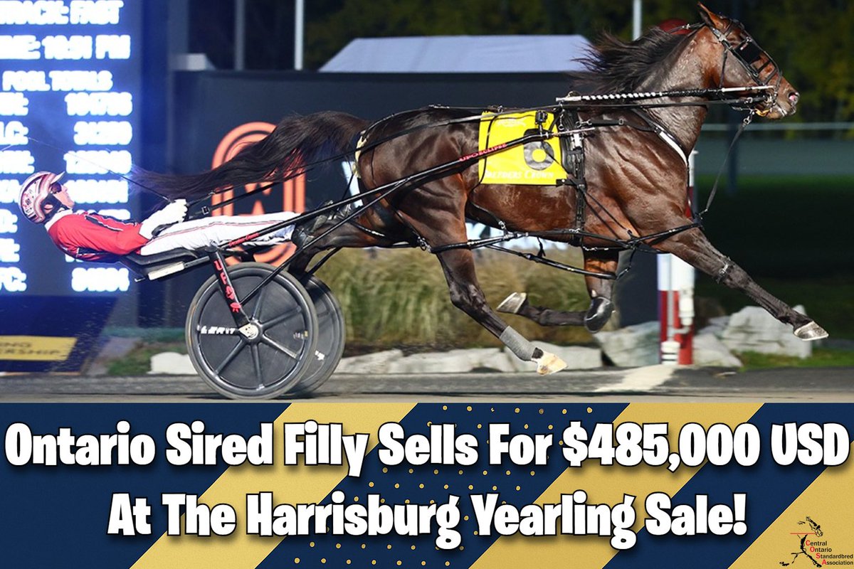 COSATV's tweet image. 🇨🇦 Ontario Power Shines in Harrisburg! 🔥

Bulldog Hanover’s babies stole the show:
💥 Sootie Hanover – $485K
💥 Tamika Hanover – $100K
💥 Silvergirl Hanover – $100K
Ontario = where champions are made. ❤️🍁
#OntarioSired #BulldogHanover #HarnessRacing