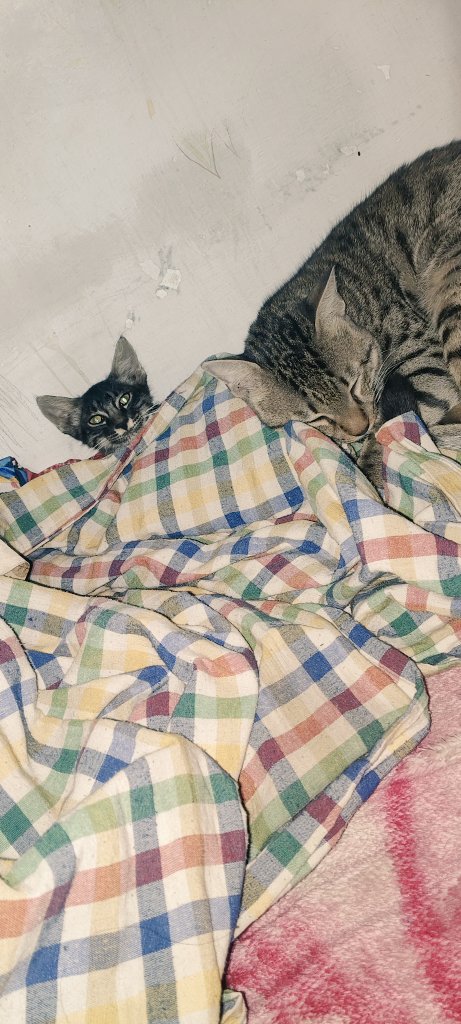 You should need to learn web 3 ☺️ cutiee