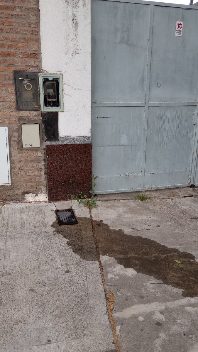 Jose Olivo tweet media