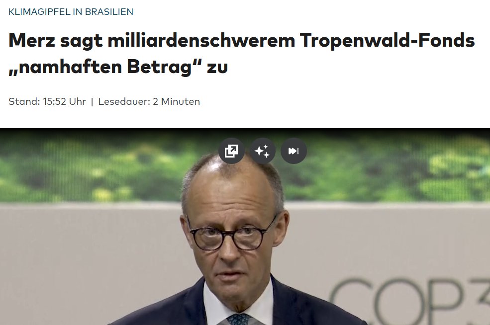 Merz verbrennt unser Geld als ob er von jemandem dafür bezahlt würde, unser Land schnellstmöglichst zugrunde zu richten.