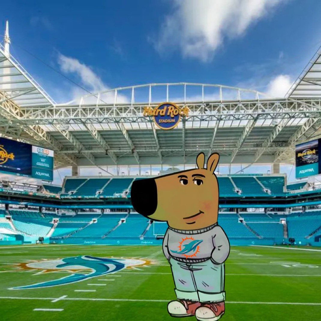 JoeRobbie_'s tweet photo. As much as I understand tanking I can’t get myself to root for the Miami Dolphins to lose. 

It’s just not in my DNA

Anyone else hoping we do the unexpected &amp; put BELT TO ASS on Sunday? 

We beat Buffalo &amp; make a run to go 6-7 are we all in again??!

-A super chill #PhinsUp fan https://t.co/S7bIdT4afo