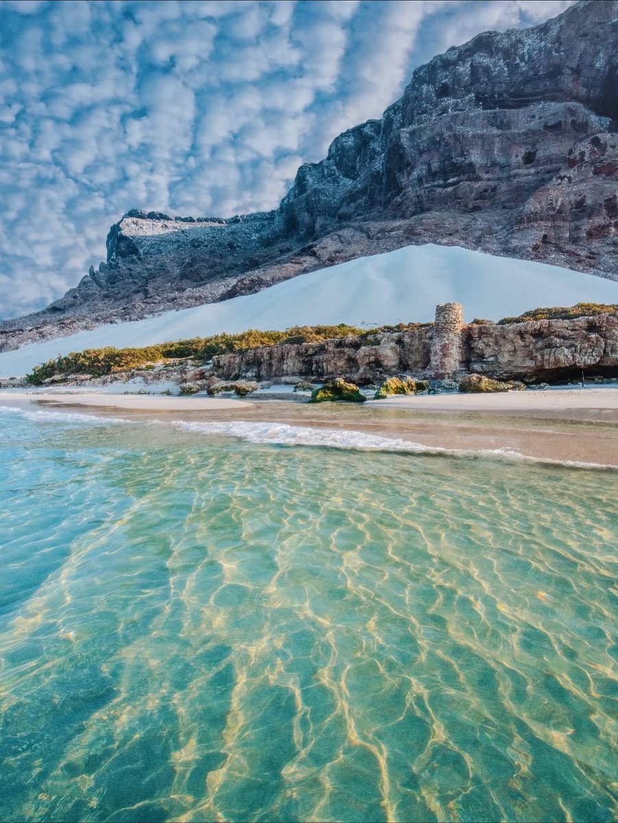 HacesMas's tweet photo. 🏝️ La isla de Socotra, conocida como las “Galápagos del Índico”, parece de otro planeta.

Casi un tercio de sus especies no existen en ningún otro lugar del mundo, como los impresionantes árboles de ''sangre de dragón''. #curiosidadesSIGAUS

📸 vía hobopeeba (ig) https://t.co/jKVEEPyLah
