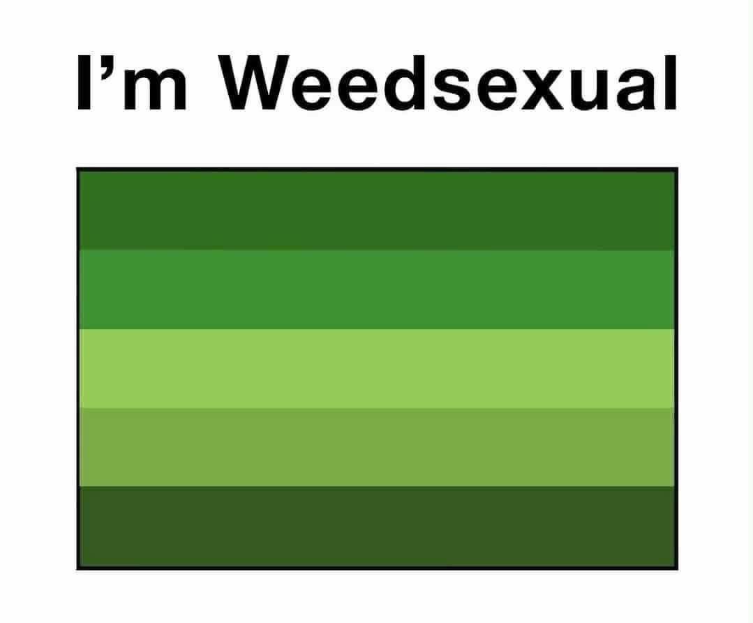 And my pronouns are High/As/Fuck