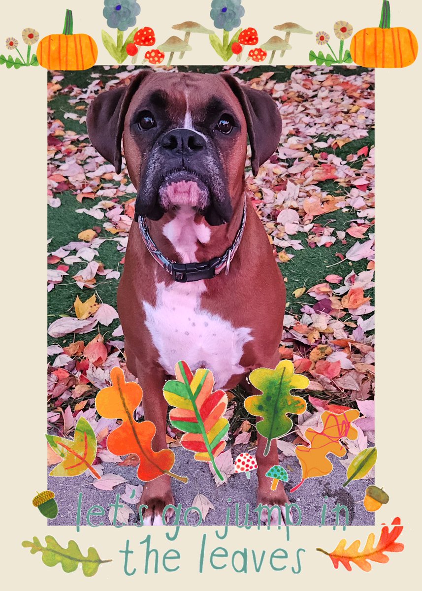 samjacklover's tweet image. 