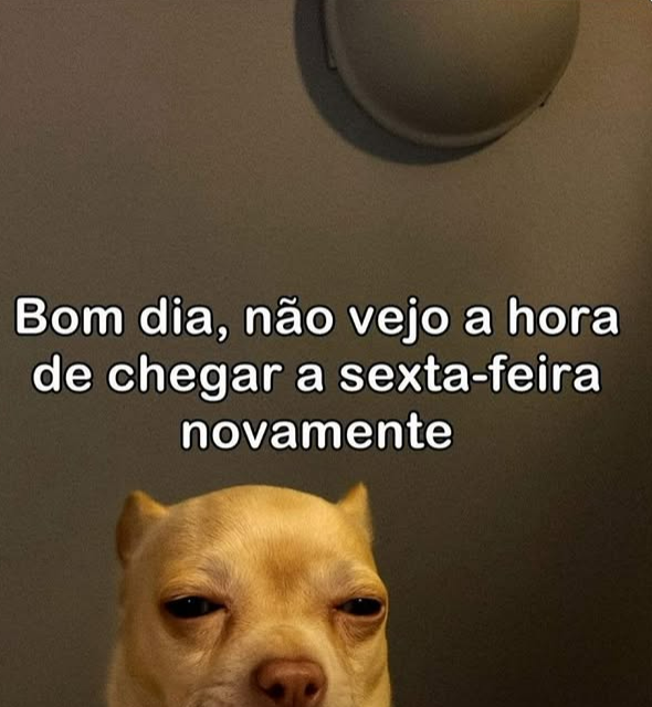 Trouxinha tweet media