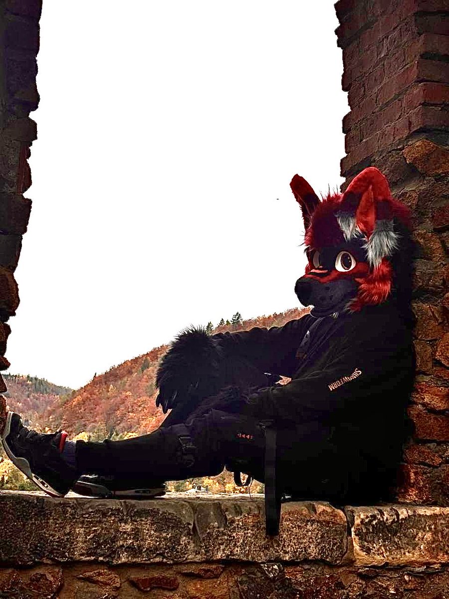 Ferroxil tweet media