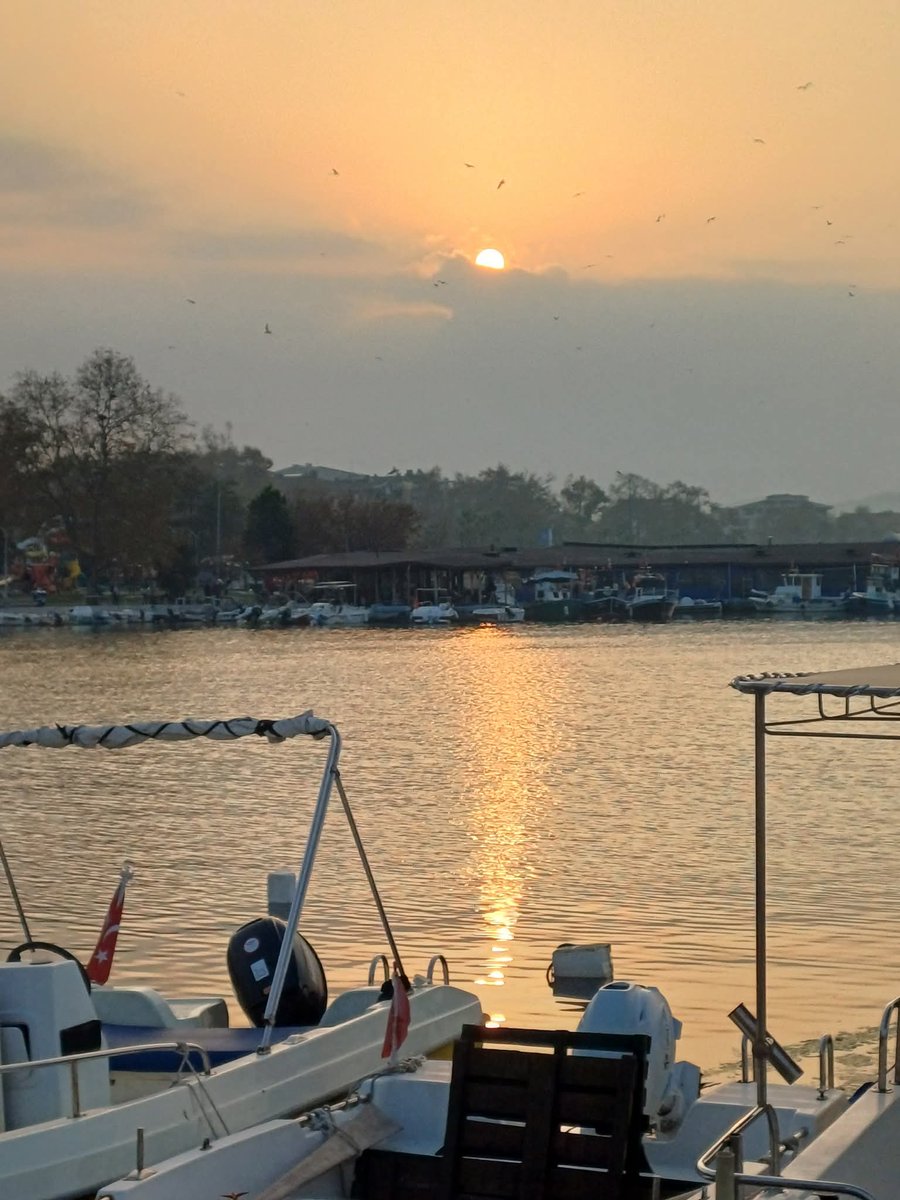 msbalioglu's tweet image. 07.11.25