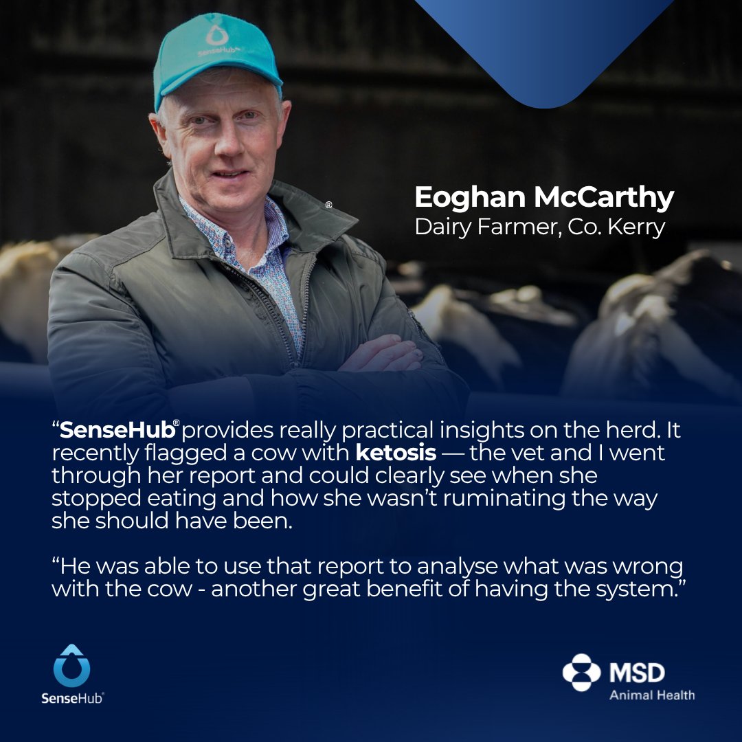 🐄🩺 Health is wealth!

SenseHub helps you stay one step ahead by alerting you to cows that may require attention, often before
visible signs appear or performance is impacted.📲

It makes sense to choose SenseHub. Join the SenseHub Community today👉 ie.sensehub.com/behaviour-moni…