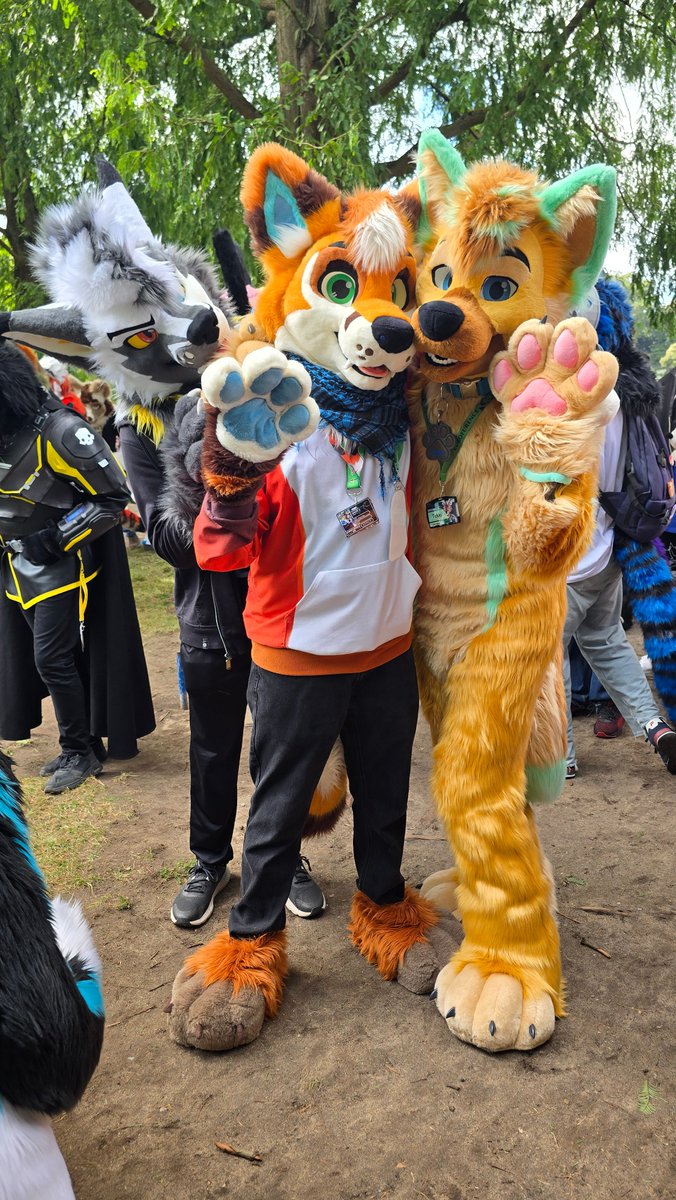 Fursuit walk experience:
Cute poses✅
Not bliking✅
Trying not to die from the heat ❌🔥☠️

<a href="/TekkiWuff/">Tekki</a>  &amp; <a href="/Yin_Rave/">🐺Yin🐺 @ANE🎉🎉🎉</a> 
📸 <a href="/Chaphogriffon/">🍎🍏Chaphogriff 🌻🐺 🔜 Eurofurence29</a> 
#FursuitFriday