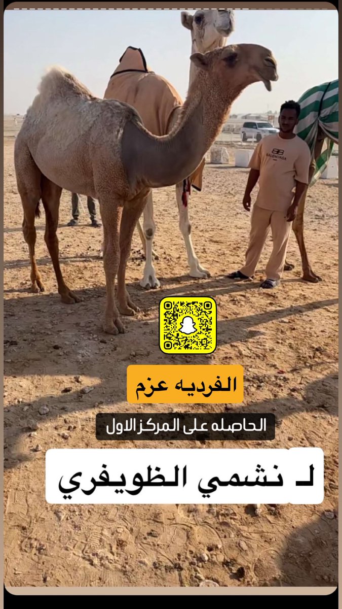 لايف الظوافره الرسمي (@live_aldwafrh) on Twitter photo 