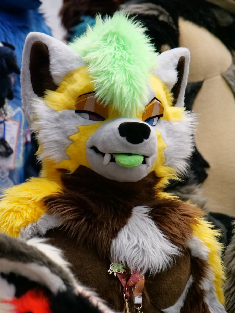 When I spot a cutie 👀

#FursuitFriday #Furry

📸: @/caolanthestoat.bsky.social