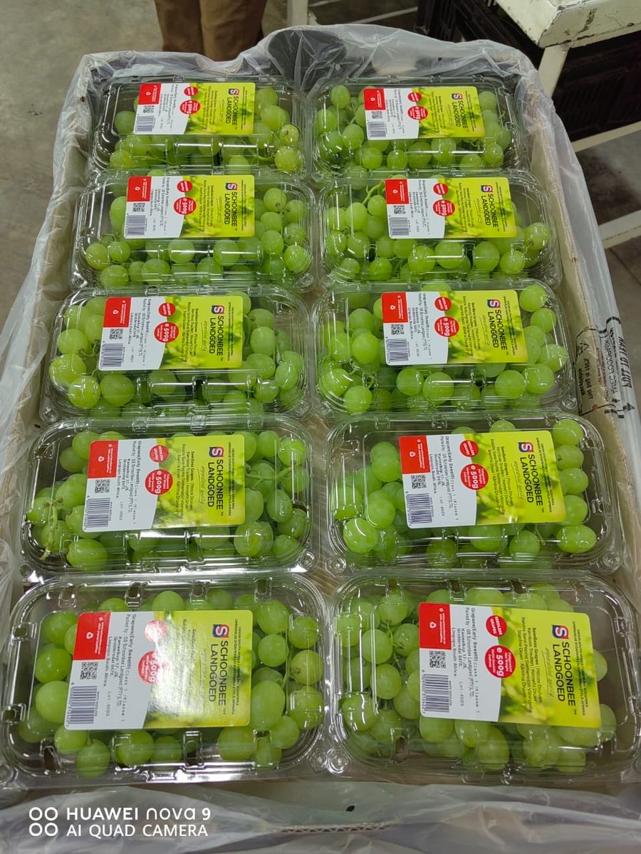 Schoonbee Landgoed tweet media