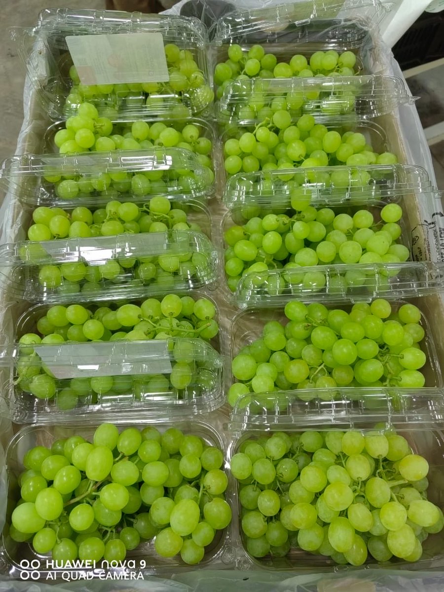 Schoonbee Landgoed tweet media