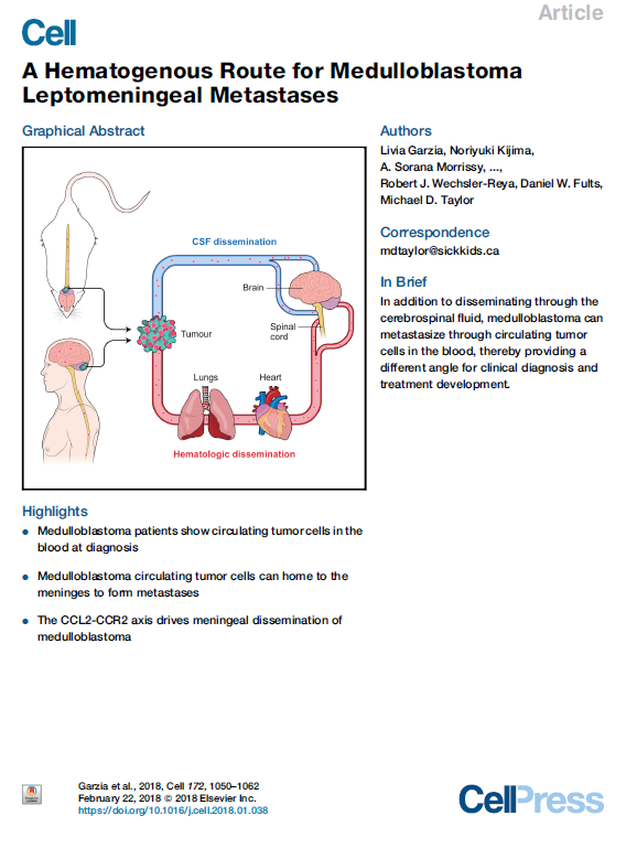 Peter Forsyth tweet media