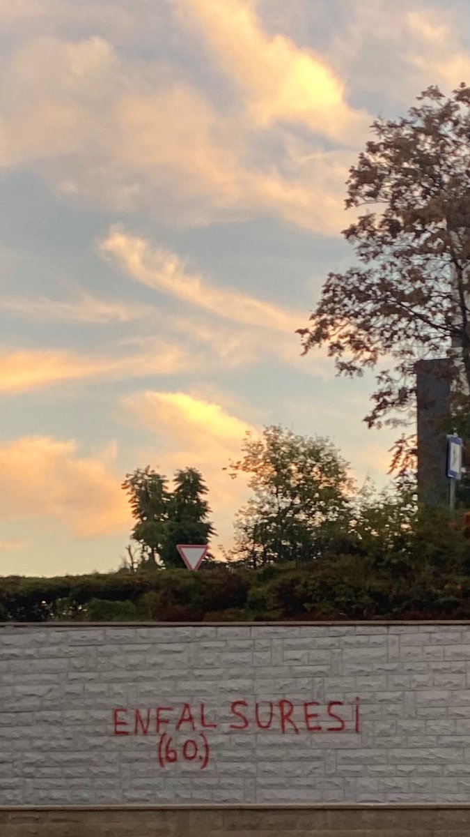 Onlara karşı gücünüz yettiği kadar kuvvet ve cihad için bağlanıp beslenen atlar hazırlayın, onunla Allah'ın düşmanını, sizin düşmanınızı ve onlardan başka sizin bilmediğiniz, Allah'ın bildiği kimseleri korkutursunuz. Allah yolunda siz asla haksızlığa uğratılmazsınız.