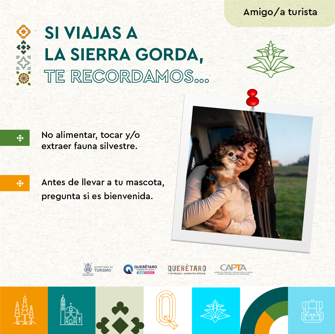 Cuando viajes a la #SierraGorda:

🏊‍♂️❌No nades en cuerpos de agua donde no está permitido.
🗑No tires basura.
🦎📸No extraigas flora o fauna silvestre, ¡que tu único souvenir sea una foto!

Estamos a tus órdenes en:
📍Calle Pasteur Norte #4, Col. Centro
☎️442 238 5033