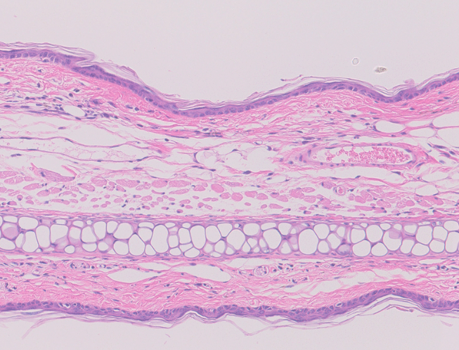 This week: A group led by Drs. Masayuki Amagai, Hayato Takahashi, and Miho Mukai converted conventional effector T cells into functional and stable Tregs.

Read the <a href="/ScienceTM/">Science Translational Medicine</a> paper: bit.ly/4qKYimH
Catch the discussion on our latest episode: bit.ly/4oLnAPU