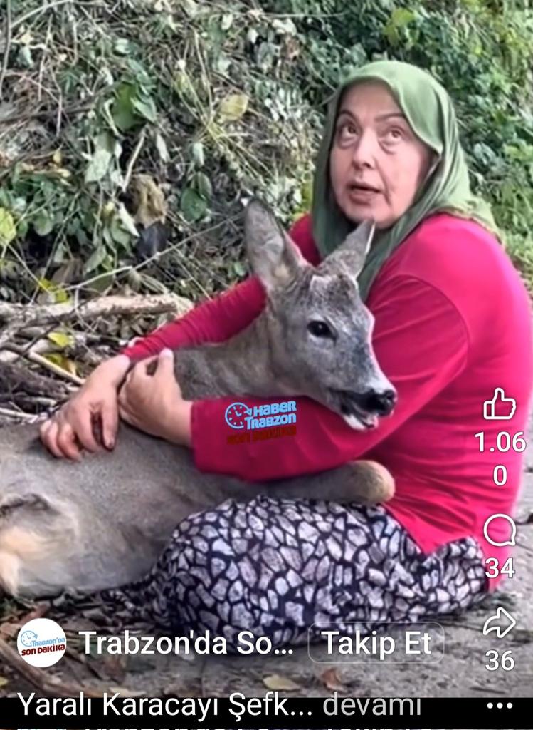 ❗️Başıboş köpekler
Yaban hayatını bitiriyorlar.
Karacayı, vatandaşlar kurtardı.
Ya kurtulamayanlar.
❗️Besleme yapanlara ceza verilmeli.
Batı Batı diye bağıranlar, batıda başıboş yok, beslemek de suç.
🇹🇷<a href="/RTErdogan/">Recep Tayyip Erdoğan</a>
🇹🇷<a href="/dbdevletbahceli/">Devlet Bahçeli</a>
🇹🇷<a href="/eczozgurozel/">Özgür Özel</a>
<a href="/FatmaSahin/">Fatma Şahin</a> 
#BaşıboşKöpekOlmaz