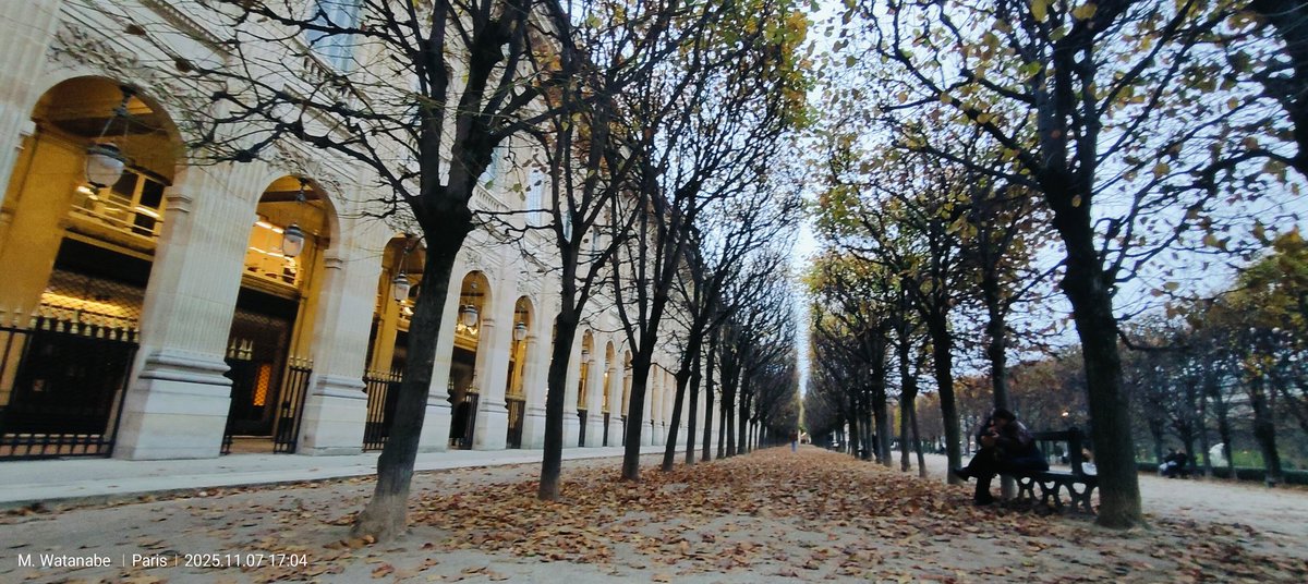 koboshikun's tweet photo. Paris se pare de couleurs hivernales. https://t.co/952pLYF8Nn