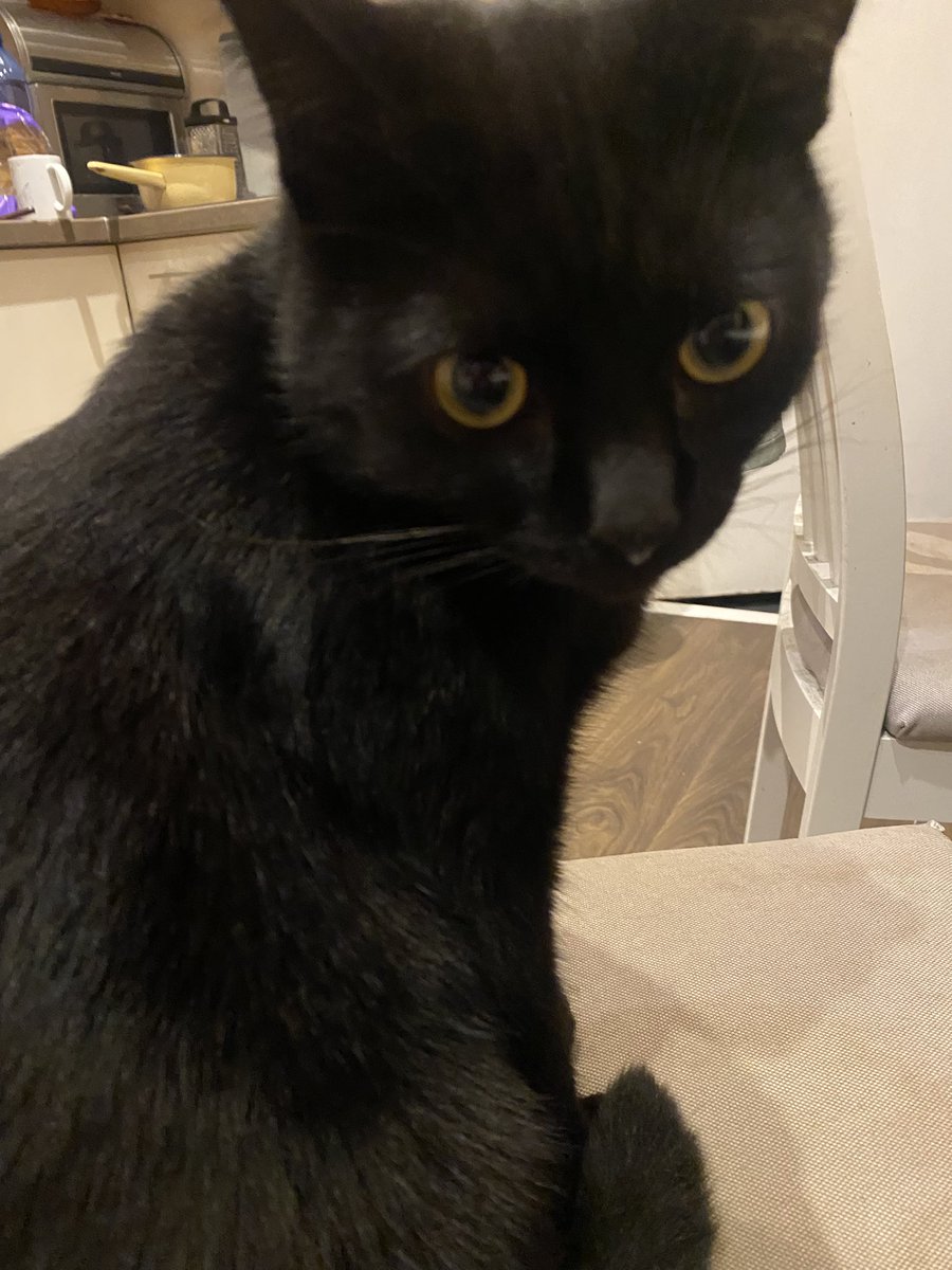 Es saku, lai notīra puņķus:)