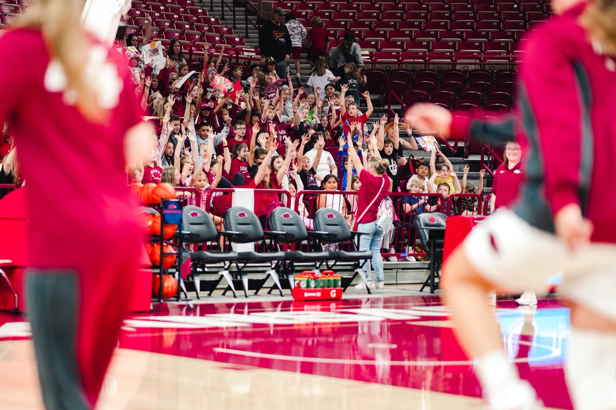 Razorback Women's Basketball tweet media