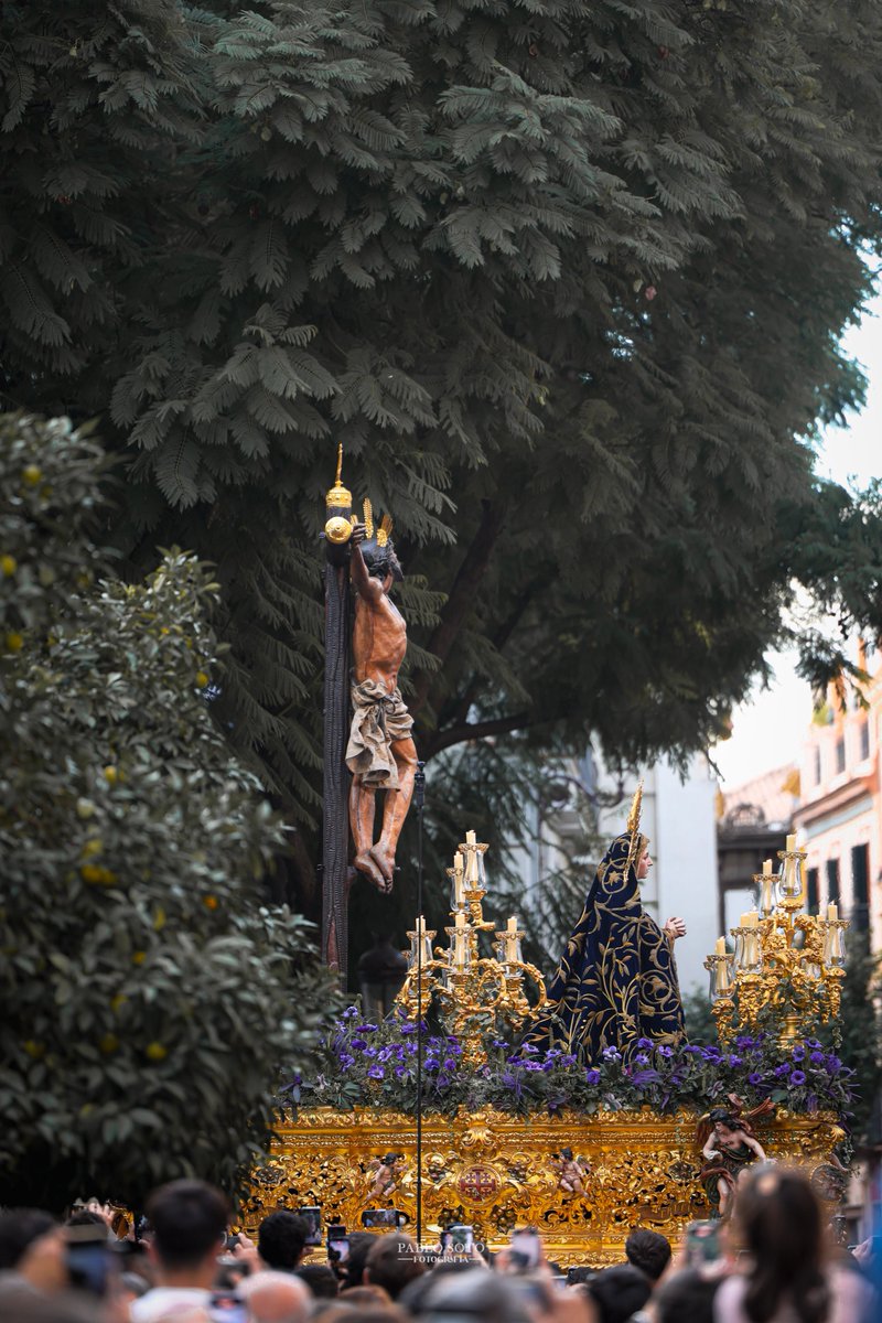 Lienzo para un Museo.

<a href="/Hdad_Museo/">Hermandad del Museo</a>