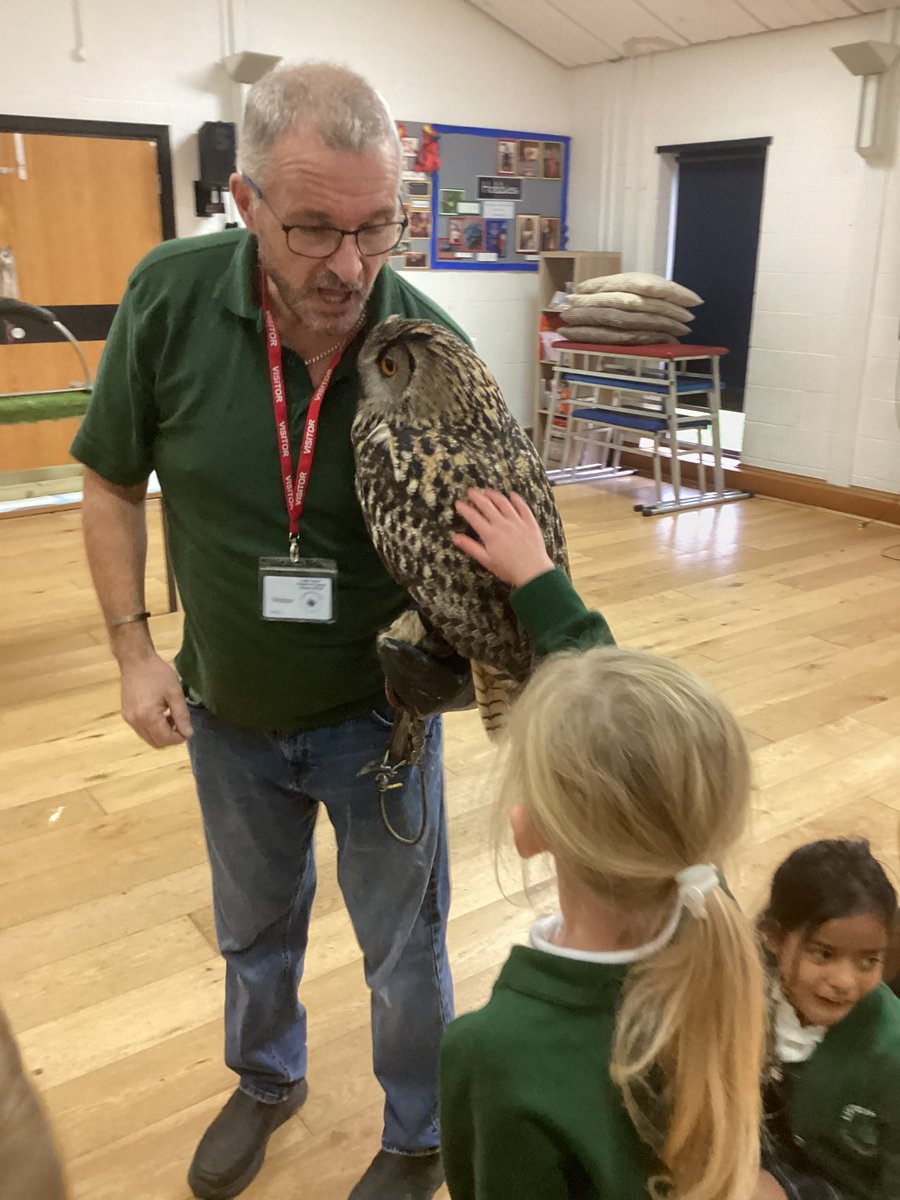 LittleSuttonCoE's tweet photo. Year 2 had a super treat today where we had a special visitor come in and show us 3 different types of owls. We learnt a lot about owls which is going to help us with our writing and gathering facts. We all enjoyed stroking the owls and we even saw one take flight! https://t.co/DeION1f3oM