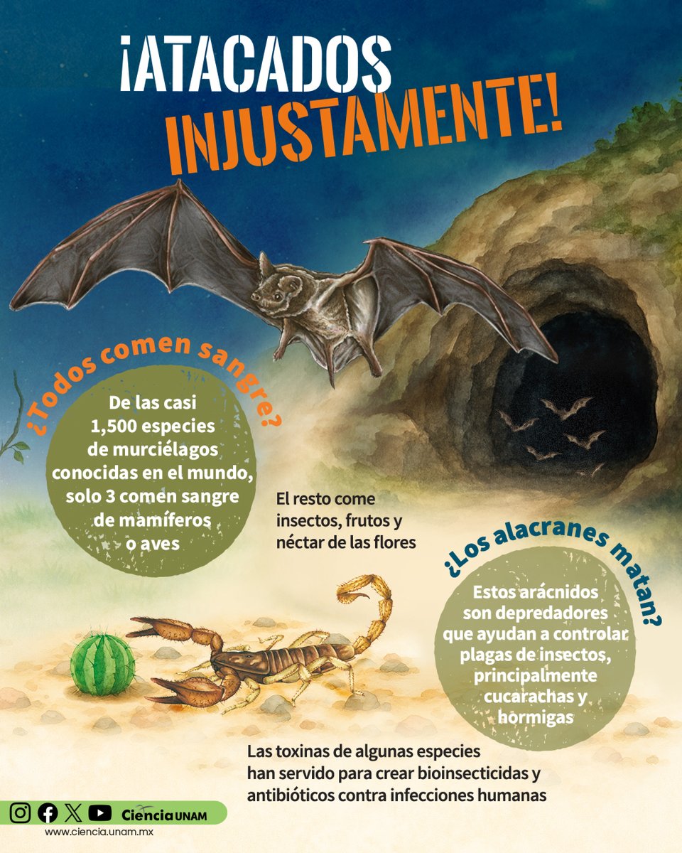 Ciencia UNAM tweet media